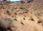 A brief level stretch between the Sand Hill and the Dugway, portions of Cottonwood Hill. Lamont Crabtree